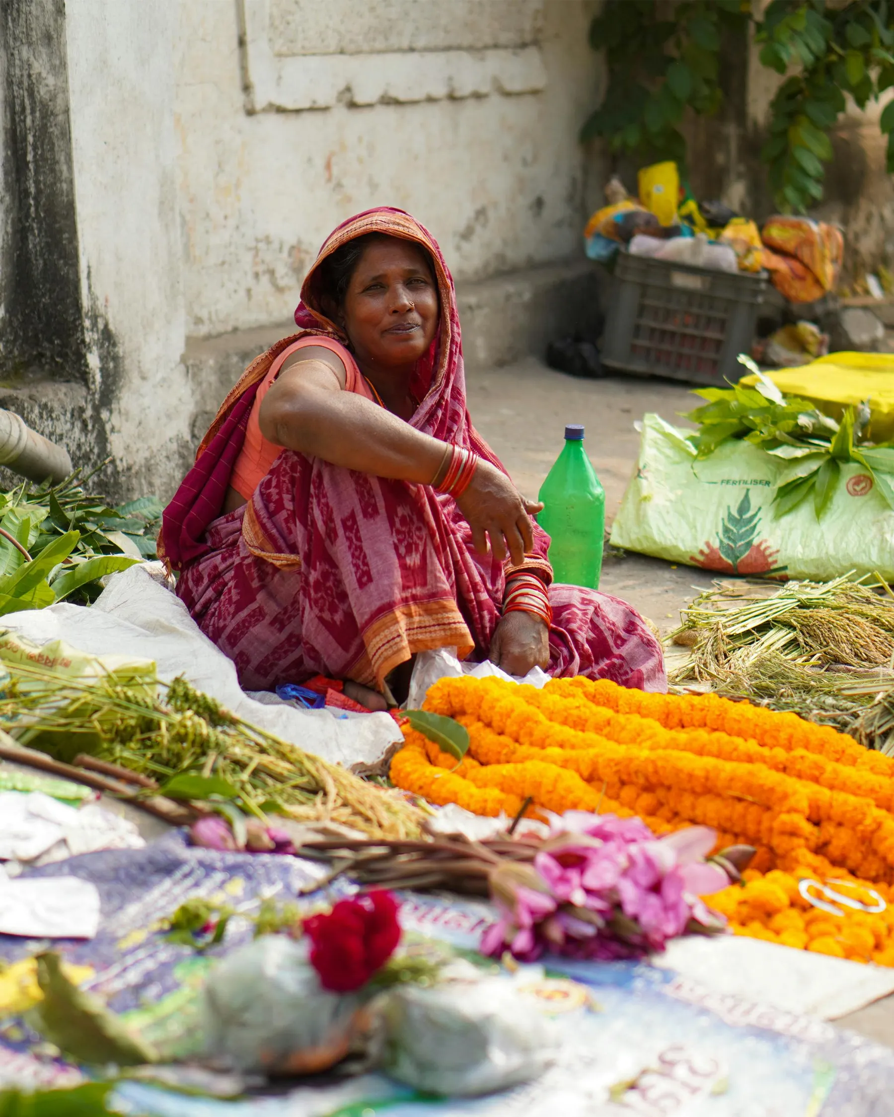 A Letter from Rajasthan