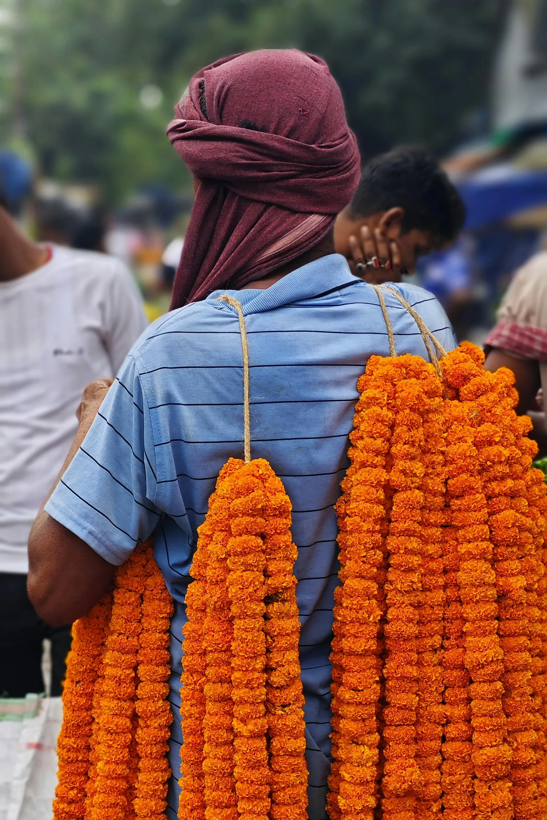 A Letter from Rajasthan