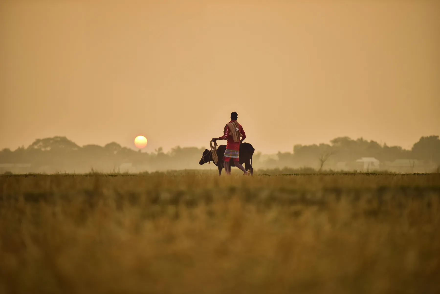 The Art of Slowing Down in India